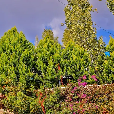 Bella Villa